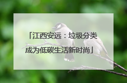 江西安远：垃圾分类成为低碳生活新时尚