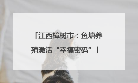 江西樟树市：鱼塘养殖激活“幸福密码”