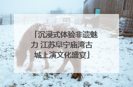 沉浸式体验非遗魅力 江苏阜宁庙湾古城上演文化盛宴