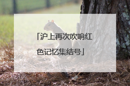 沪上再次吹响红色记忆集结号