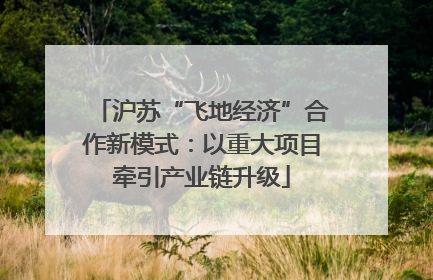 沪苏“飞地经济”合作新模式：以重大项目牵引产业链升级