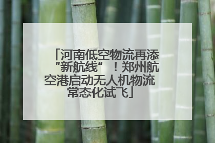 河南低空物流再添“新航线”！郑州航空港启动无人机物流常态化试飞
