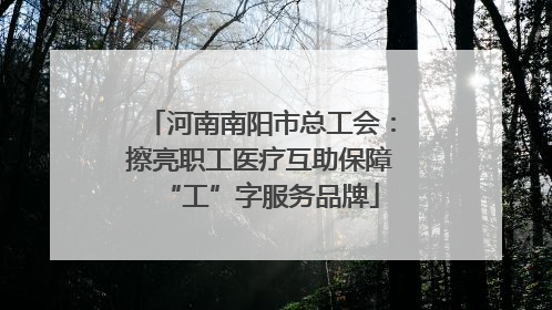 河南南阳市总工会：擦亮职工医疗互助保障“工”字服务品牌