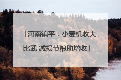 河南镇平：小麦机收大比武 减损节粮助增收