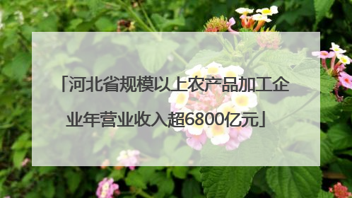河北省规模以上农产品加工企业年营业收入超6800亿元