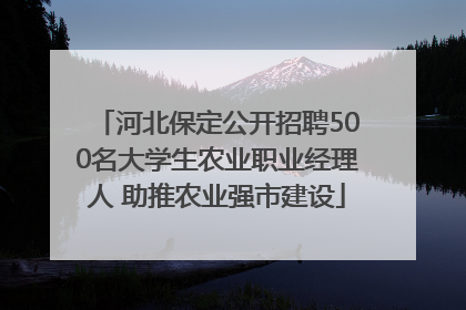 河北保定公开招聘500名大学生农业职业经理人 助推农业强市建设
