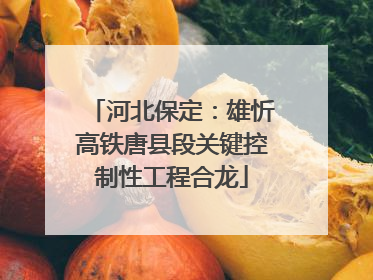 河北保定：雄忻高铁唐县段关键控制性工程合龙