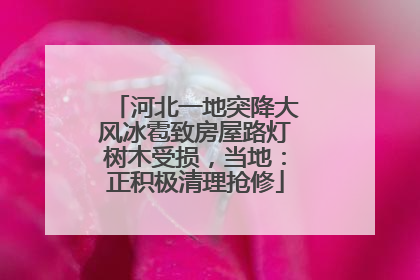 河北一地突降大风冰雹致房屋路灯树木受损，当地：正积极清理抢修