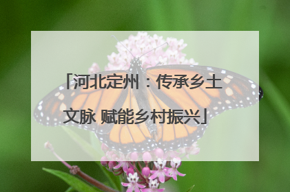 河北定州：传承乡土文脉 赋能乡村振兴