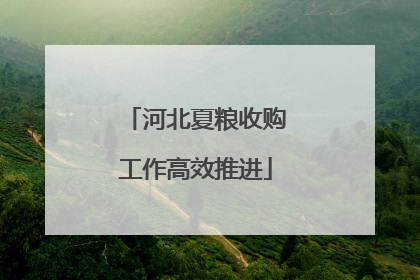 河北夏粮收购工作高效推进