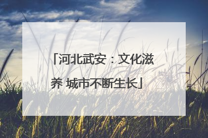 河北武安：文化滋养 城市不断生长