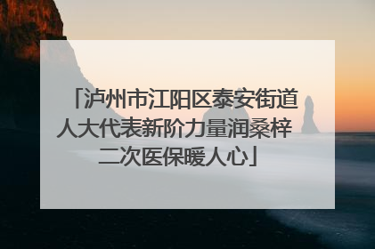 泸州市江阳区泰安街道人大代表新阶力量润桑梓 二次医保暖人心