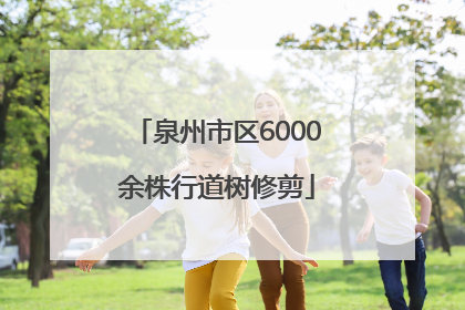 泉州市区6000余株行道树修剪