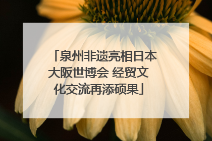 泉州非遗亮相日本大阪世博会 经贸文化交流再添硕果