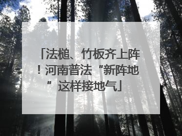 法槌、竹板齐上阵！河南普法“新阵地”这样接地气