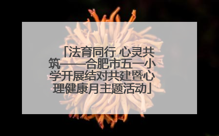 法育同行 心灵共筑——合肥市五一小学开展结对共建暨心理健康月主题活动