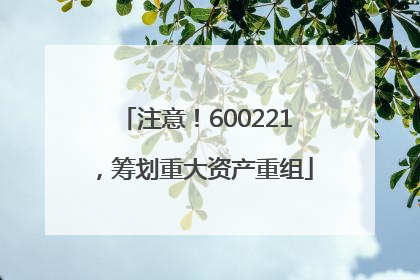 注意！600221，筹划重大资产重组