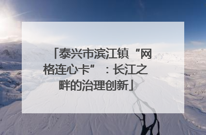 泰兴市滨江镇“网格连心卡”：长江之畔的治理创新