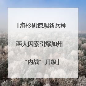 洛杉矶惊现新兵种 两大因素引爆加州“内战”升级