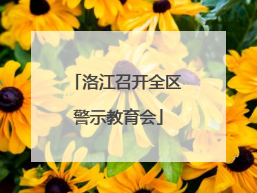 洛江召开全区警示教育会
