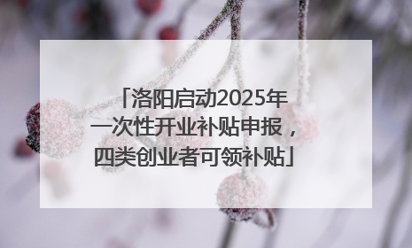洛阳启动2025年一次性开业补贴申报，四类创业者可领补贴