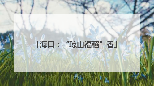 海口：“琼山福稻”香