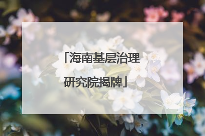 海南基层治理研究院揭牌