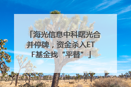 海光信息中科曙光合并停牌，资金杀入ETF基金找“平替”