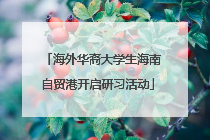 海外华裔大学生海南自贸港开启研习活动