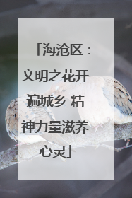 海沧区：文明之花开遍城乡 精神力量滋养心灵