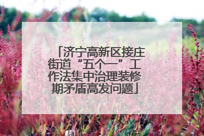 济宁高新区接庄街道“五个一”工作法集中治理装修期矛盾高发问题