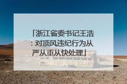 浙江省委书记王浩：对顶风违纪行为从严从重从快处理
