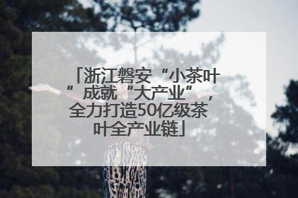 浙江磐安“小茶叶”成就“大产业”，全力打造50亿级茶叶全产业链