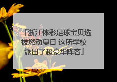 浙江体彩足球宝贝选拔燃动夏日 这所学校派出了超豪华阵容