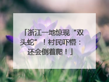 浙江一地惊现“双头蛇”！村民吓懵：还会倒着爬！