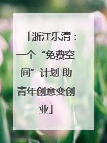浙江乐清：一个“免费空间”计划 助青年创意变创业