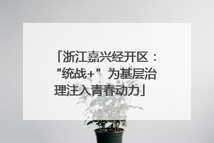 浙江嘉兴经开区：“统战+”为基层治理注入青春动力
