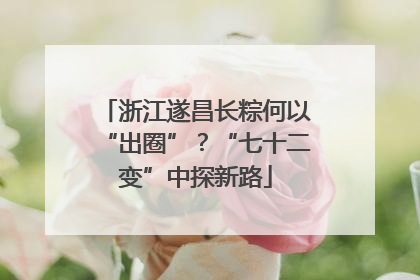 浙江遂昌长粽何以“出圈”？“七十二变”中探新路