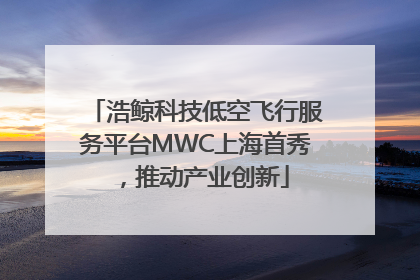 浩鲸科技低空飞行服务平台MWC上海首秀，推动产业创新