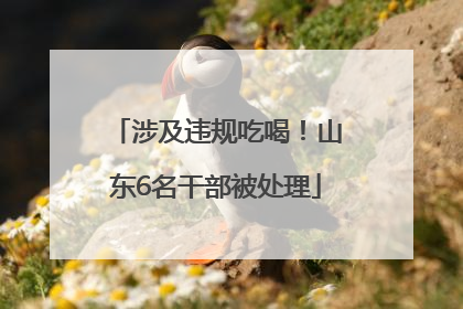 涉及违规吃喝！山东6名干部被处理