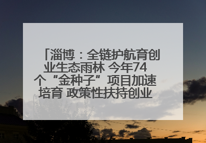 淄博：全链护航育创业生态雨林 今年74个“金种子”项目加速培育 政策性扶持创业9754人