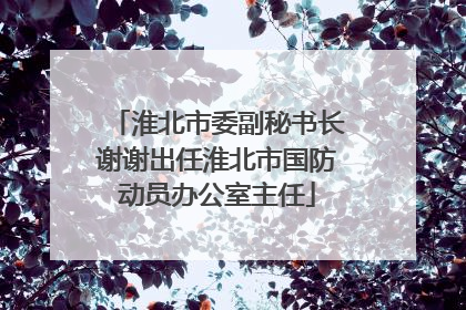 淮北市委副秘书长谢谢出任淮北市国防动员办公室主任