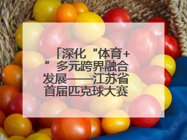 深化“体育+”多元跨界融合发展——江苏省首届匹克球大赛在无锡开赛