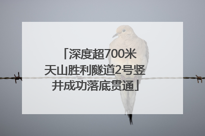 深度超700米 天山胜利隧道2号竖井成功落底贯通