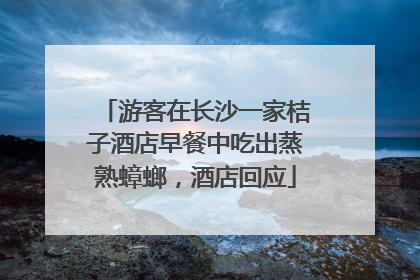 游客在长沙一家桔子酒店早餐中吃出蒸熟蟑螂，酒店回应
