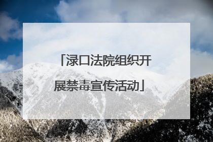 渌口法院组织开展禁毒宣传活动