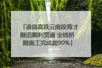 渝昆高铁云南段育才隧道顺利贯通 全线桥隧施工完成超90%