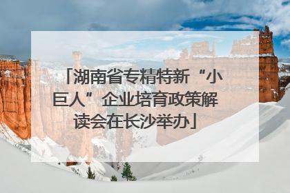 湖南省专精特新“小巨人”企业培育政策解读会在长沙举办