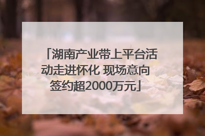 湖南产业带上平台活动走进怀化 现场意向签约超2000万元