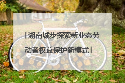 湖南城步探索新业态劳动者权益保护新模式